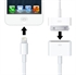 FS09307 Lightning To 30-Pin Adapter With 20cm Cable for iPhone 5