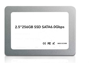 2.5 Inch SATA III 6Gb/s Internal Solid State Drive
