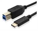 Picture of USB 3.1 Type C to USB 3.0 Type B Male Cable